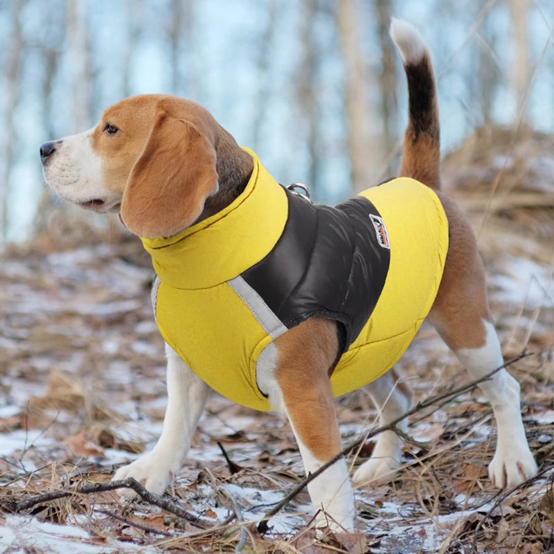 Waterproof Panel Puffer Vest