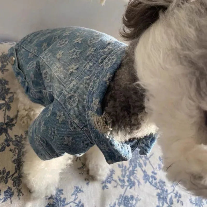 Designer Denim Jacket