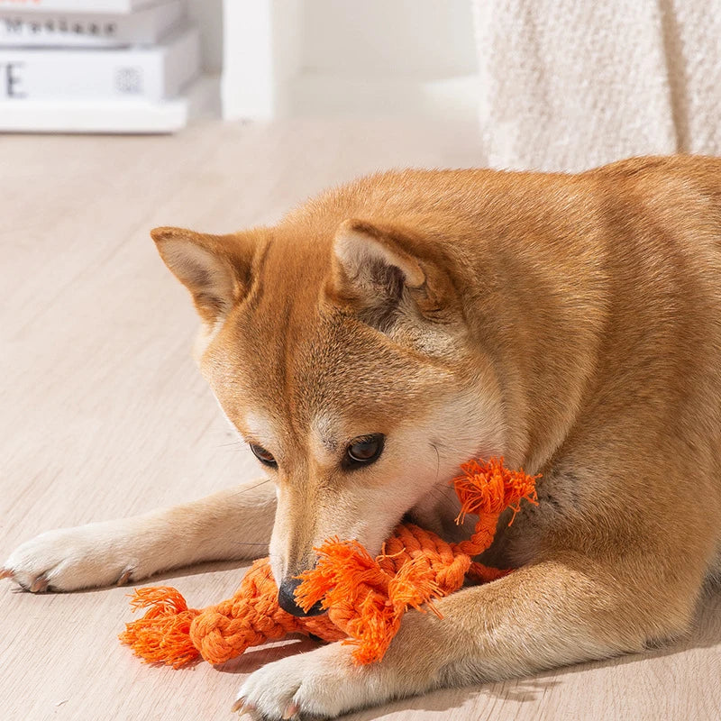 Animal Rope Chew Toy