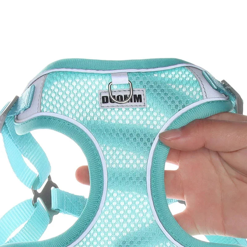 Reflective Harness Leash Set