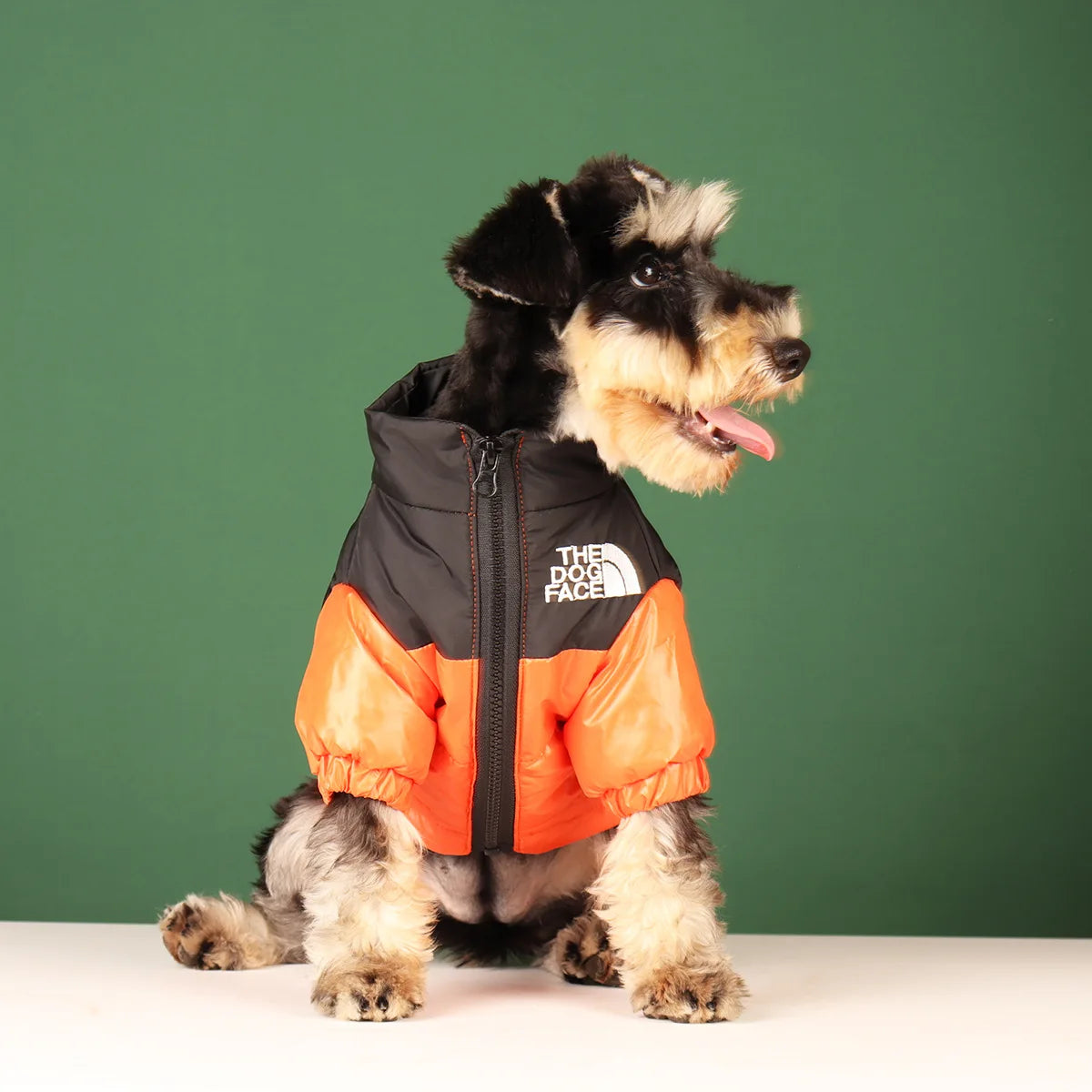 Windproof Jacket