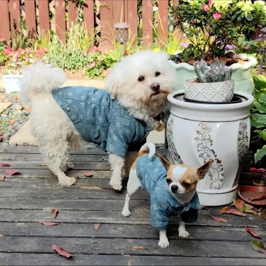 Designer Denim Jacket