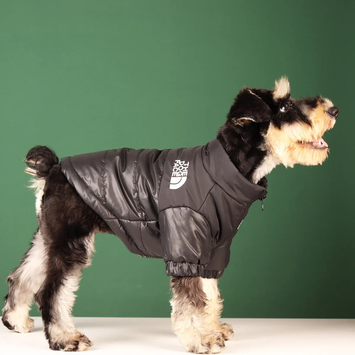 Windproof Jacket