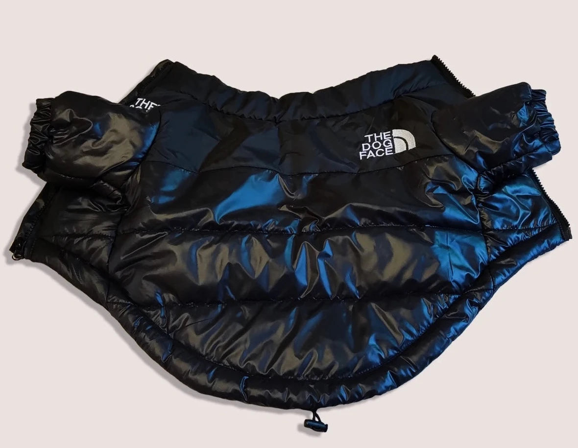 Windproof Jacket