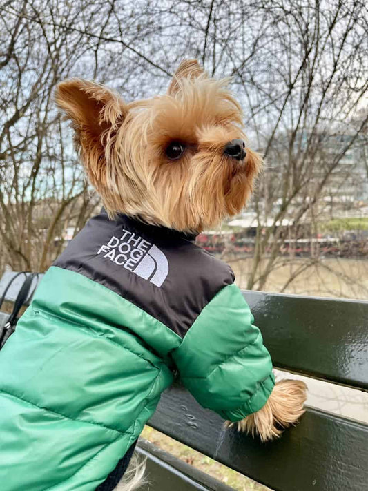 Windproof Jacket