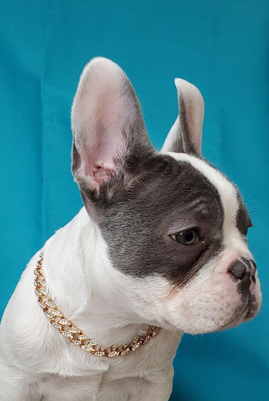 Cuban Link Chain Necklace