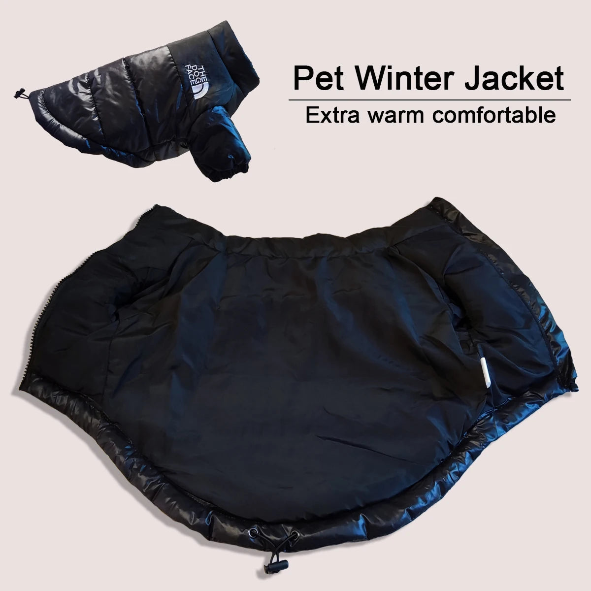 Windproof Jacket
