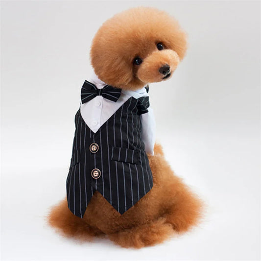 Tuxedo with Bow Tie