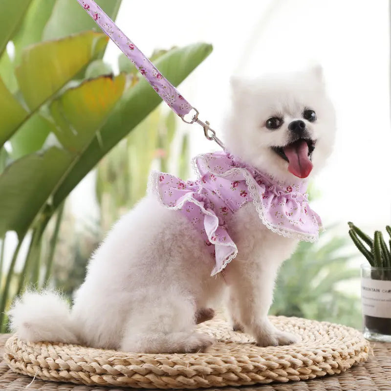 Cropped Lace Dress Harness