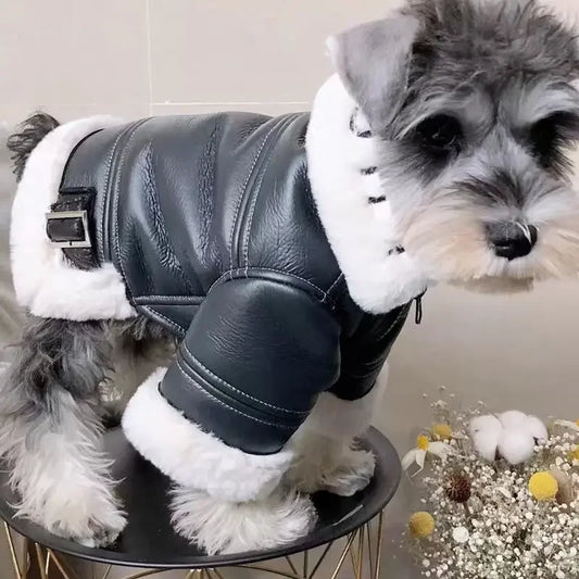 Motorcycle Jacket