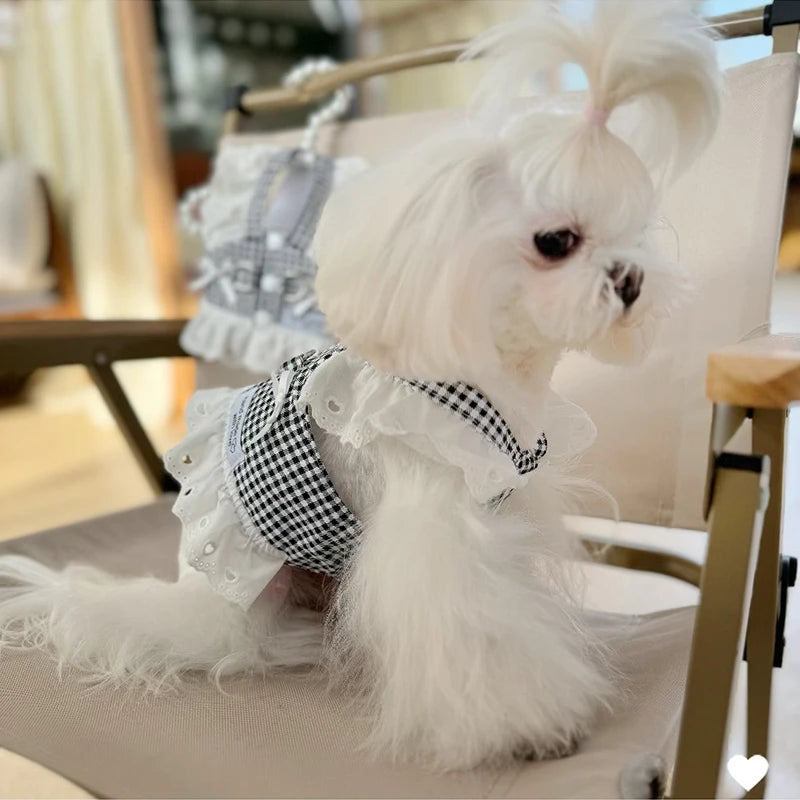 Gingham Lace Dress