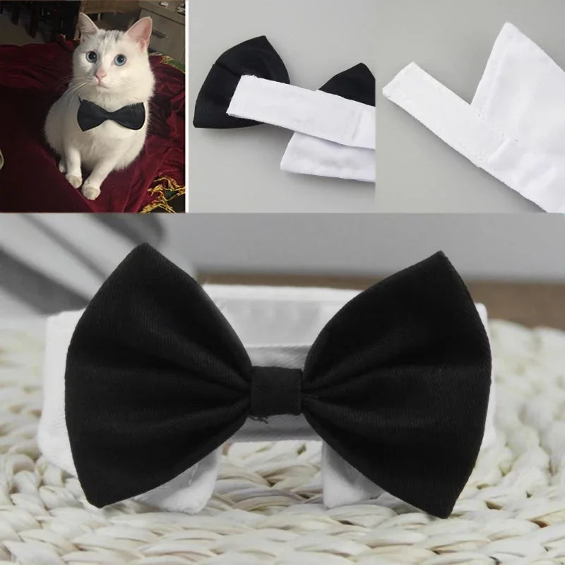 Tuxedo Bow Tie