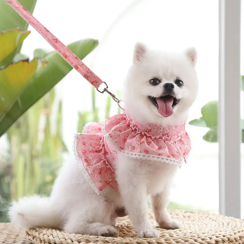 Cropped Lace Dress Harness