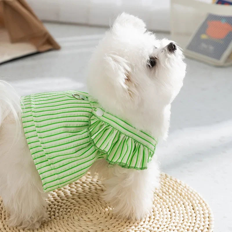 Striped Frilly Dress