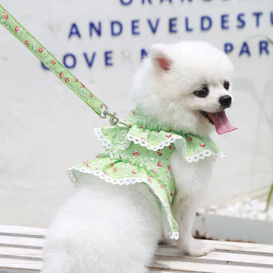 Cropped Lace Dress Harness