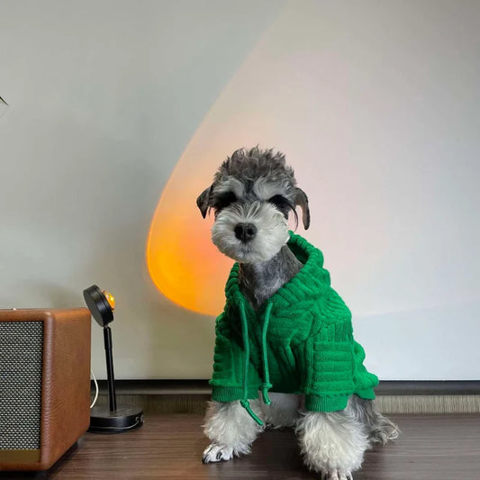 Green Terry Hoodie