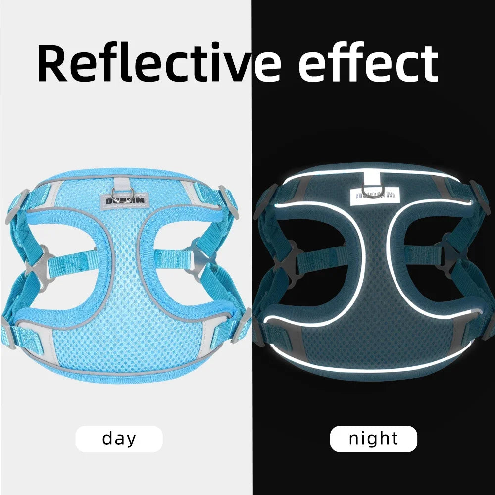 Reflective Harness Leash Set