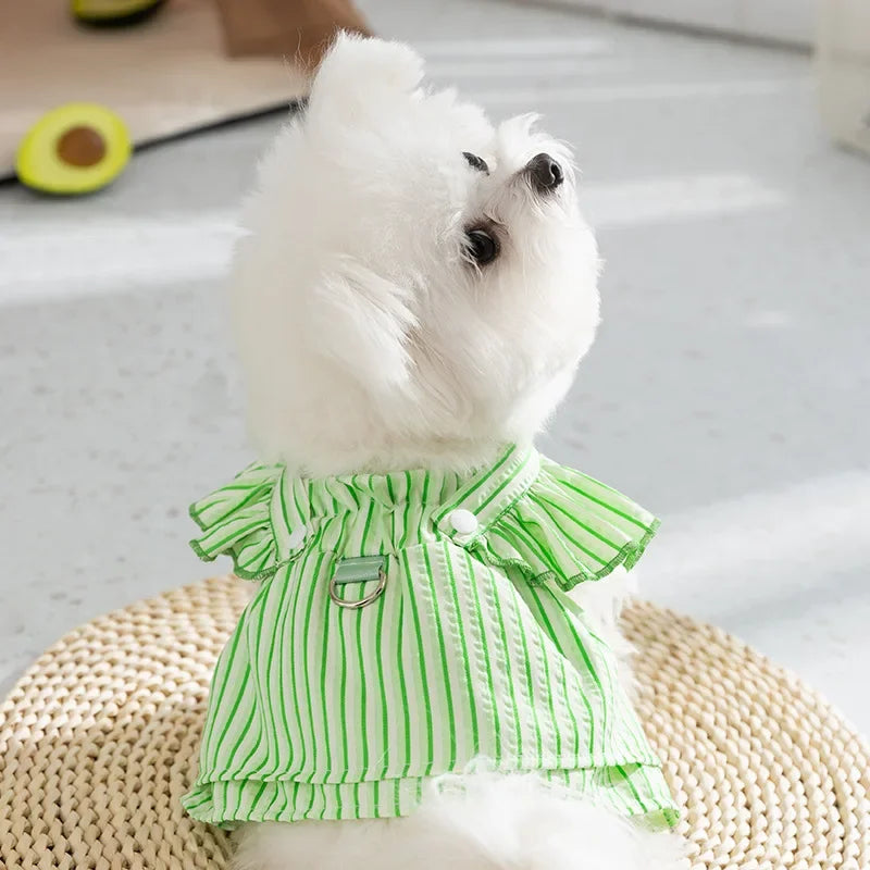 Striped Frilly Dress